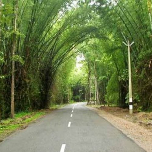 Forest Routes scenic drive to Wayanad